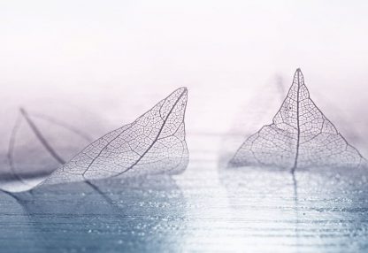 alt=zwei liegende Blätter auf Boden