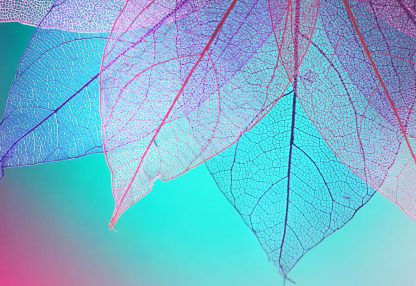 alt=lila und rosa Blätter vor pink-türkisem Hintergrund