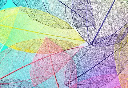 alt=bunte Blätter auf blauem Untergrund