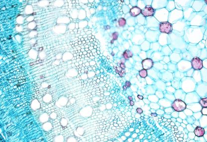 alt=Nahaufnahme Wassermoleküle