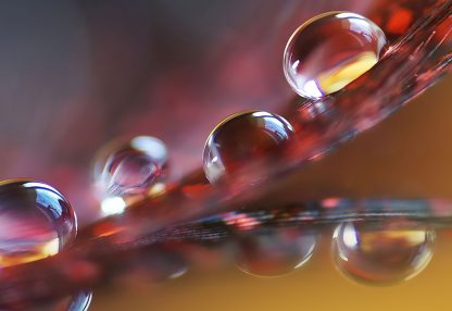 alt=Nahaufnahme Haar mit Wassertropfen