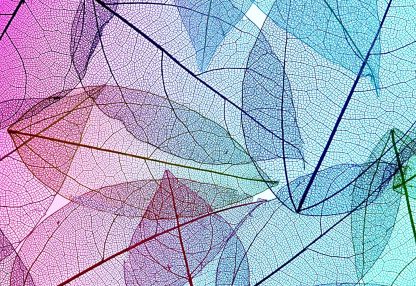 alt=aufeinanderliegende bunte Blätter