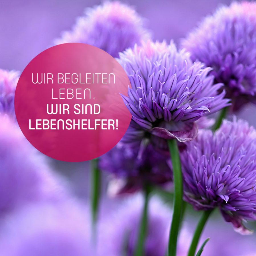 Wir begleiten Leben. Wir sind Lebenshelfer!
