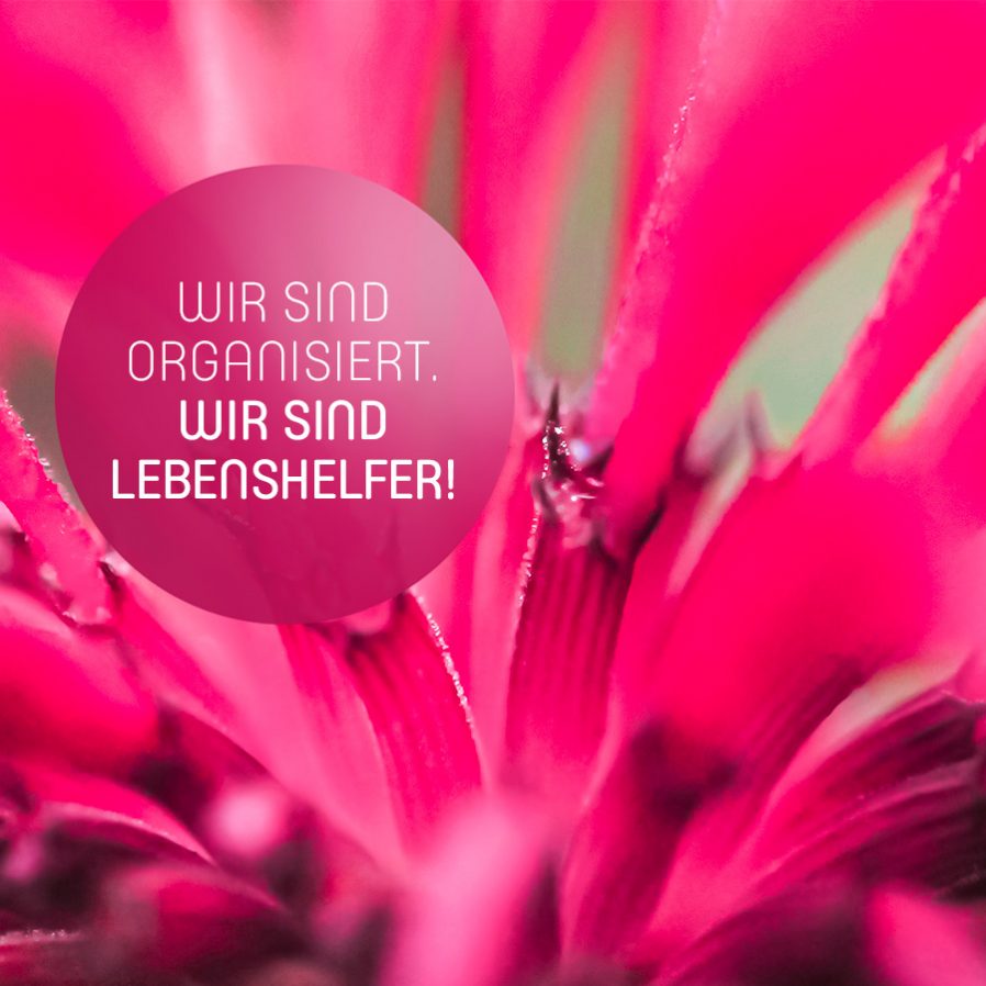 Wir sind organisiert. Wir sind Lebenshelfer!