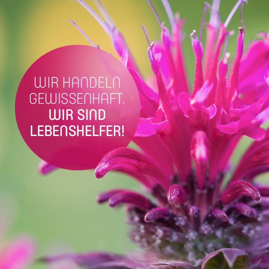 Wir handeln gewissenhaft. Wir sind Lebenshelfer!