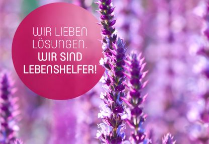 Wir lieben Lösungen. Wir sind Lebenshelfer!