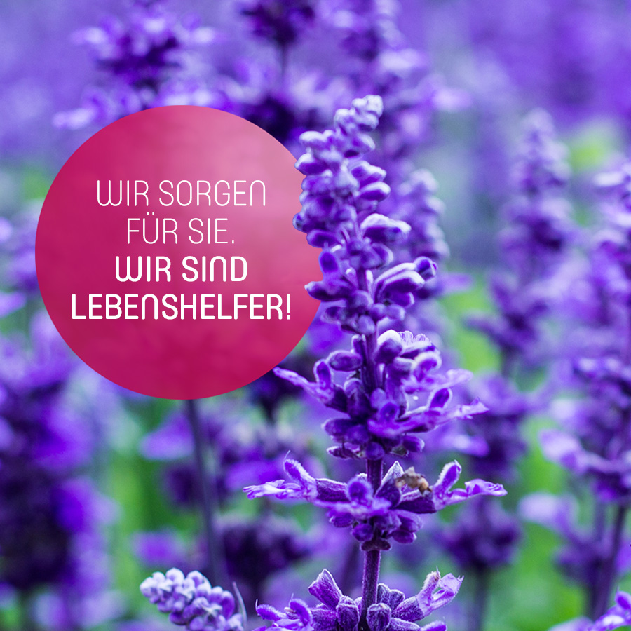 Wir sorgen für Sie. Wir sind Lebenshelfer!