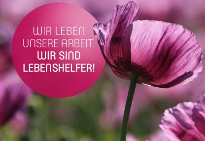 Wir leben unsere Arbeit. Wir sind Lebenshelfer!