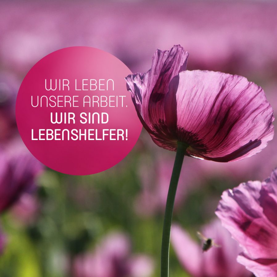 Wir leben unsere Arbeit. Wir sind Lebenshelfer!