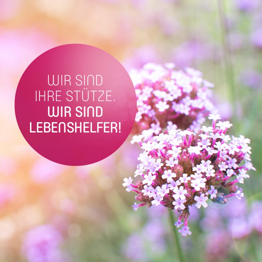Wir sind Ihre Stütze. Wir sind Lebenshelfer!