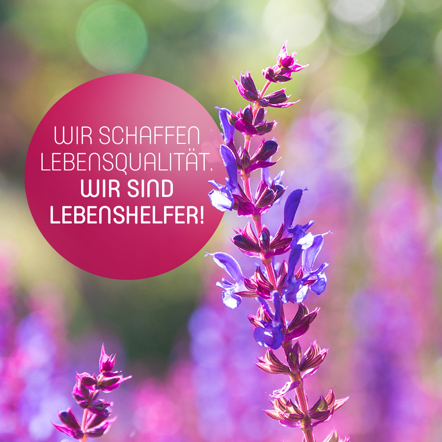 Wir schaffen Lebensqualität. Wir sind Lebenshelfer!