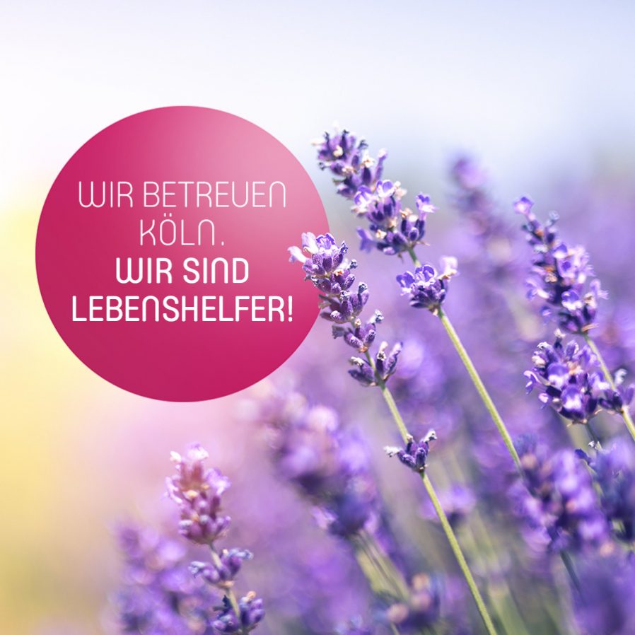 Wir betreuen Köln. Wir sind Lebenshelfer!