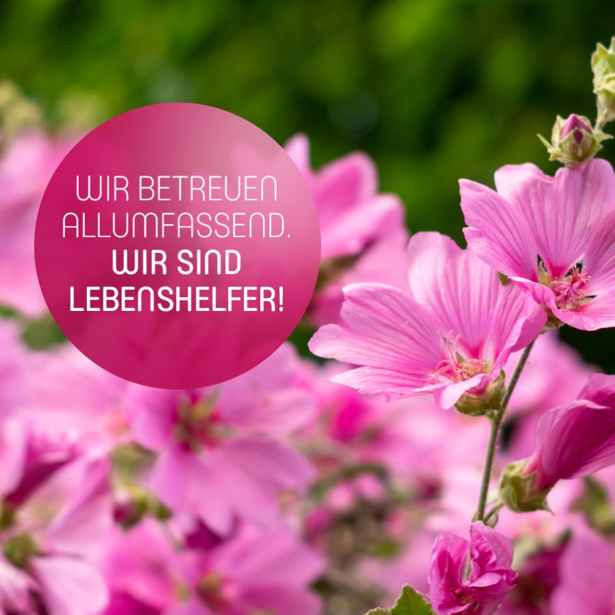 Wir betreuen allumfassend. Wir sind Lebenshelfer!