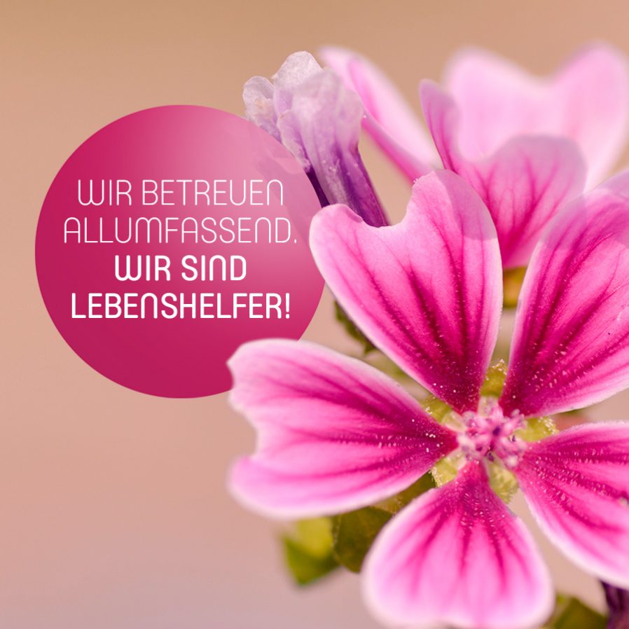 Wir betreuen allumfassend. Wir sind Lebenshelfer!