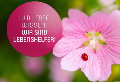 Wir leben Wissen. Wir sind Lebenshelfer!