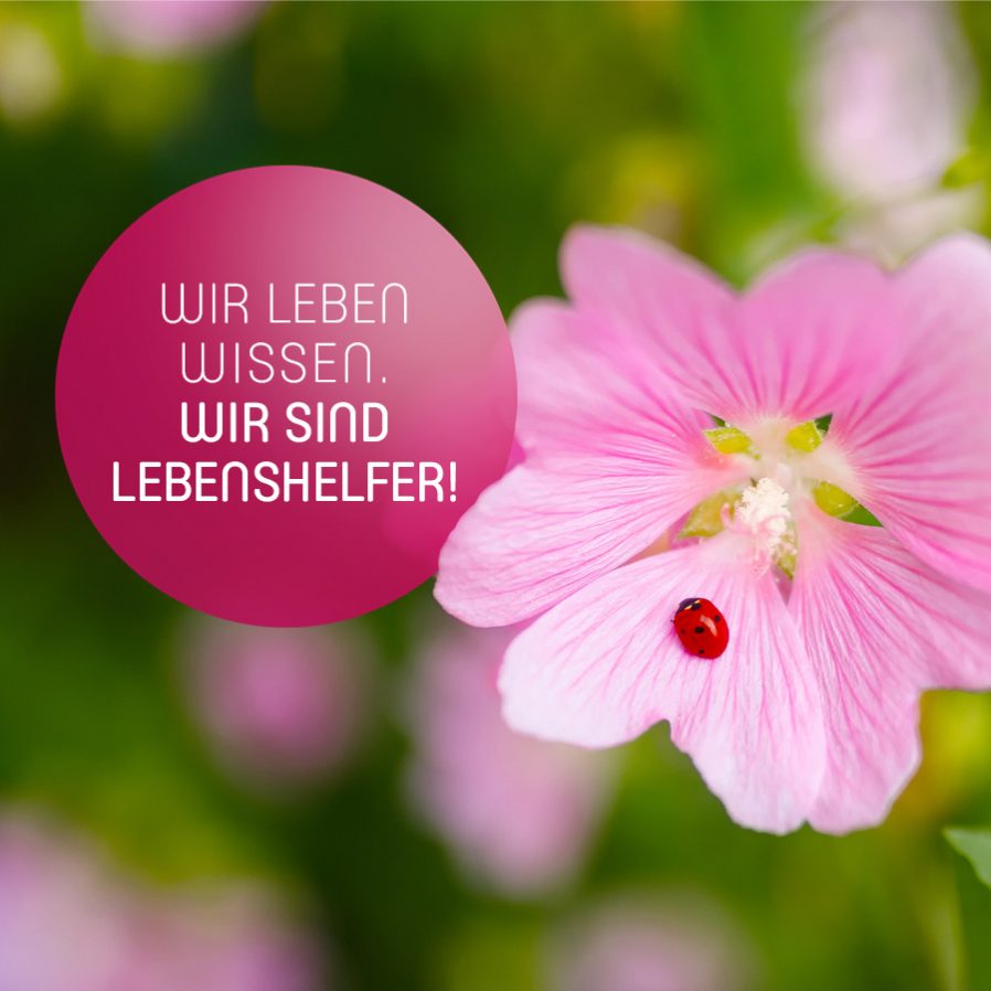 Wir leben Wissen. Wir sind Lebenshelfer!