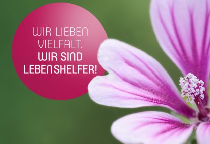 Wir lieben Vielfalt. Wir sind Lebenshelfer!