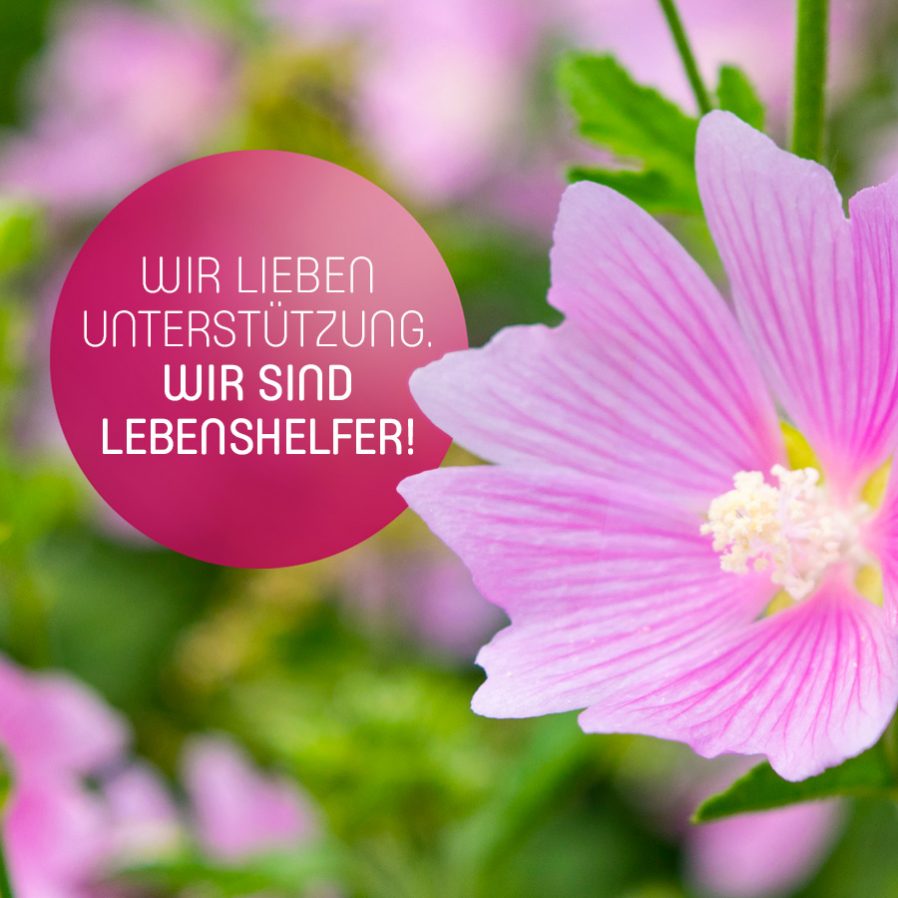 Wir lieben Unterstützung. Wir sind Lebenshelfer!