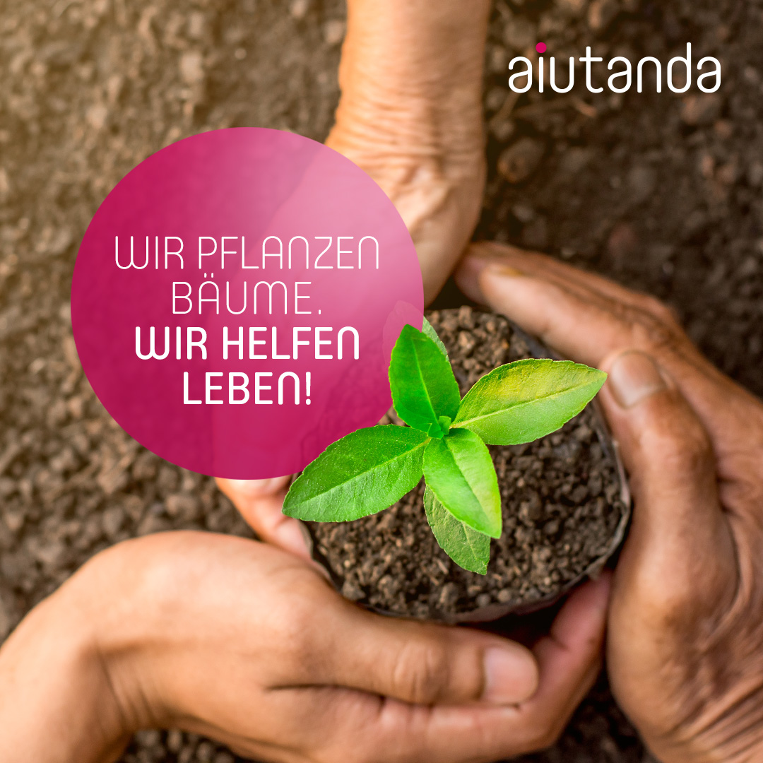 Wir pflanzen Bäume!