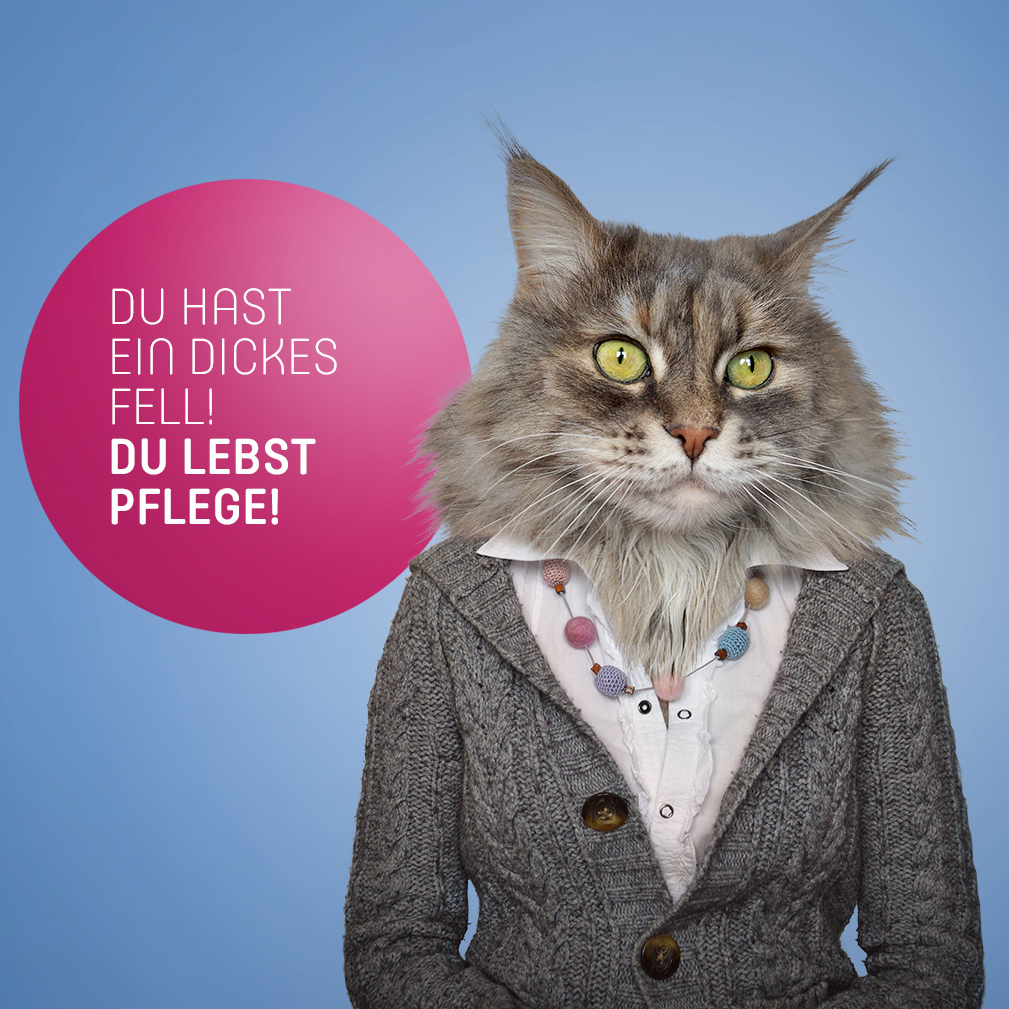 Du lebst Pflege!