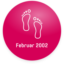 Meilenstein Bubble Februar 2002