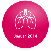 Meilenstein Bubble Januar 2014