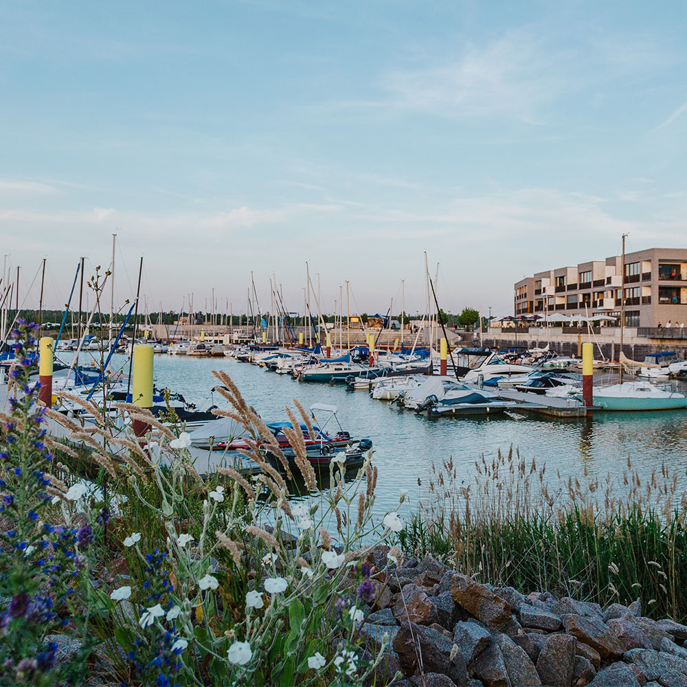 Aktivitäten in der Tagespflege