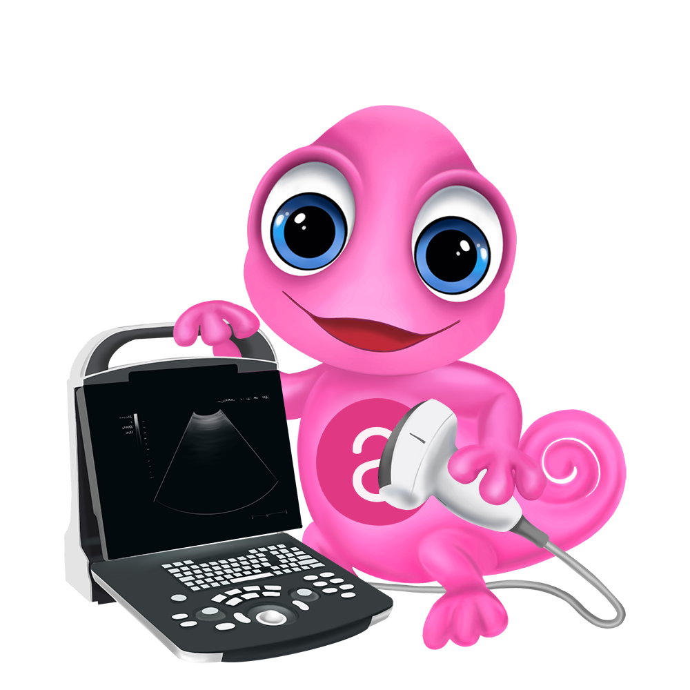 Maskottchen Leon Medizintechnik