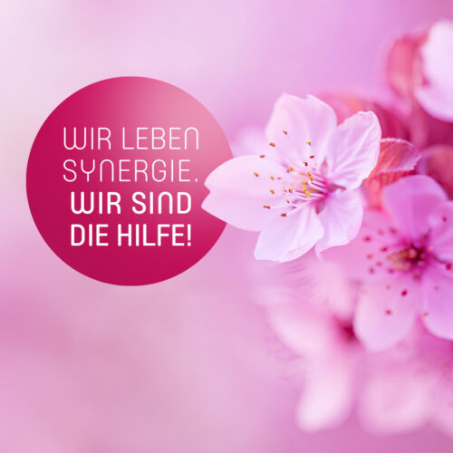 Wir leben Synergie. Wir sind die Hilfe!
