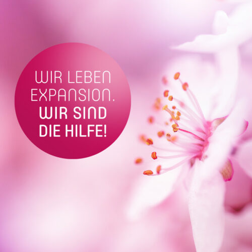 Wir leben Expansion. Wir sind die Hilfe!
