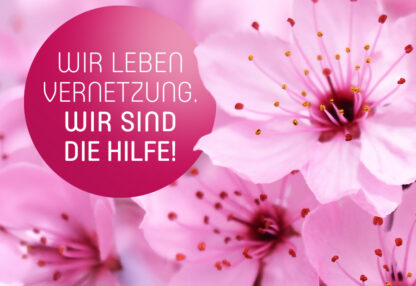 Wir leben Vernetzung. Wir sind die Hilfe!