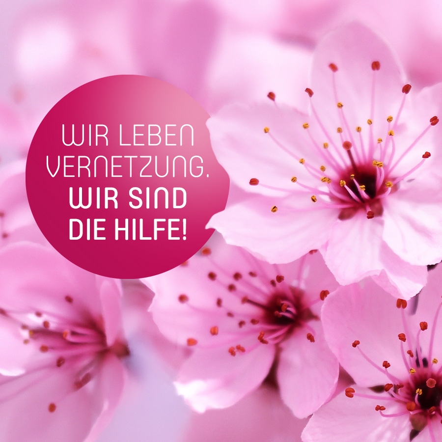 Wir leben Vernetzung. Wir sind die Hilfe!