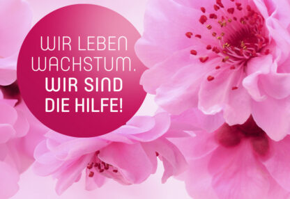 Wir leben Wachstum. Wir sind die Hilfe!