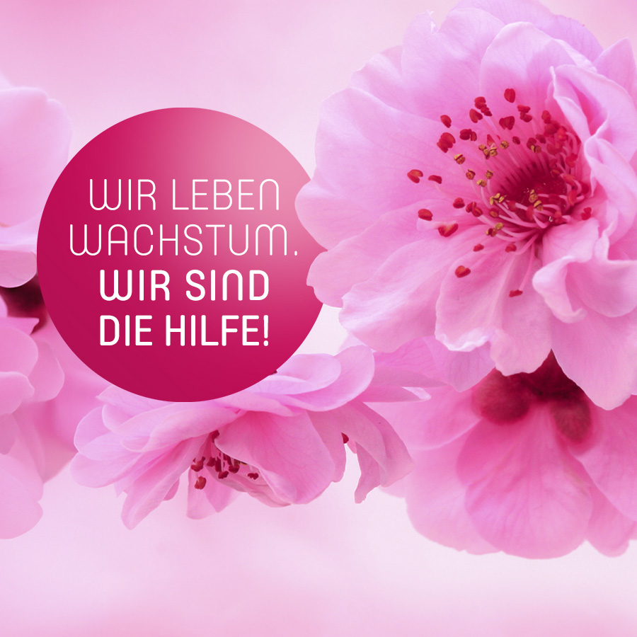 Wir leben Wachstum. Wir sind die Hilfe!