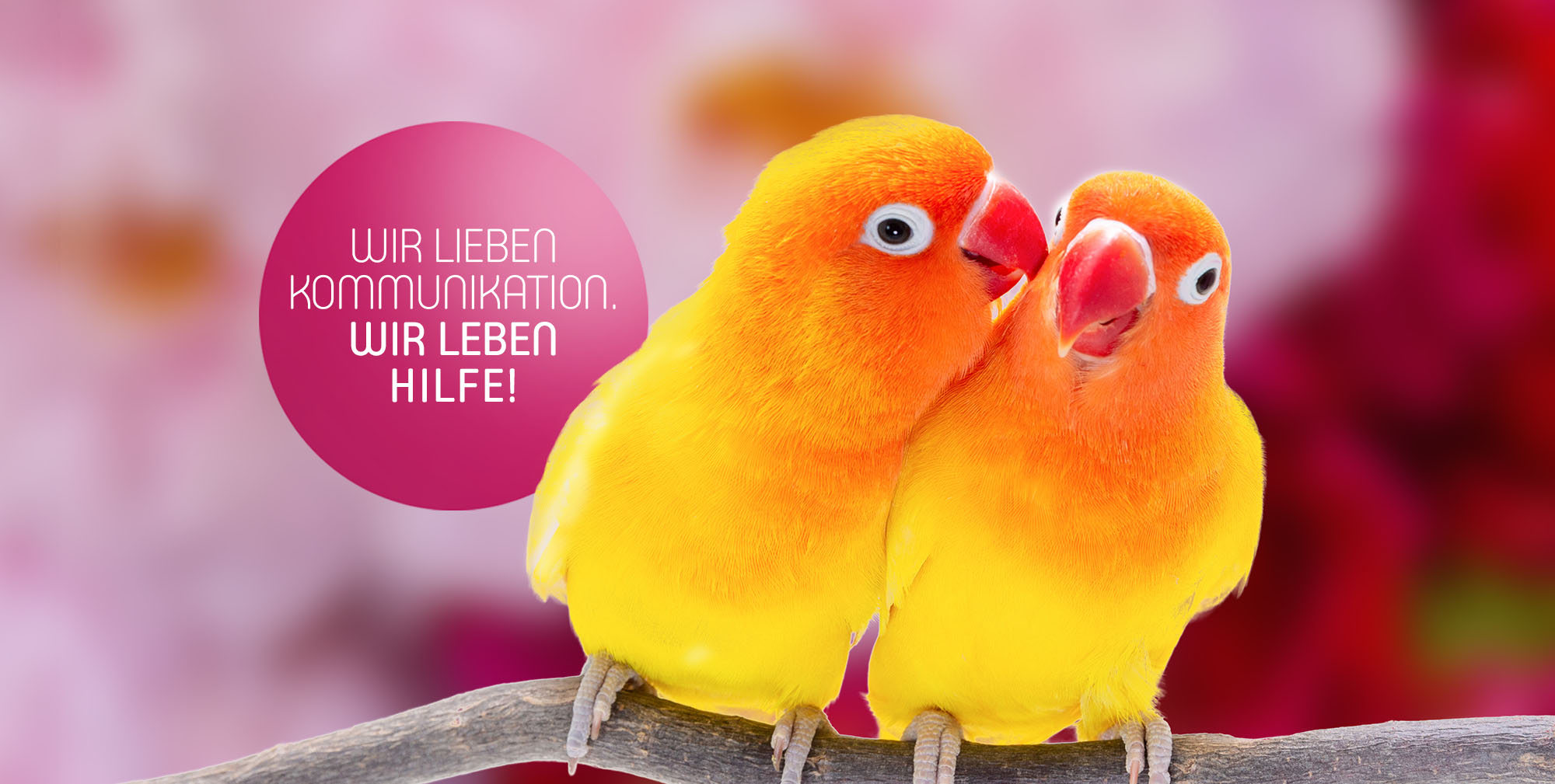 Die aiutanda-Gruppe - In all ihren Facetten! | aiutanda