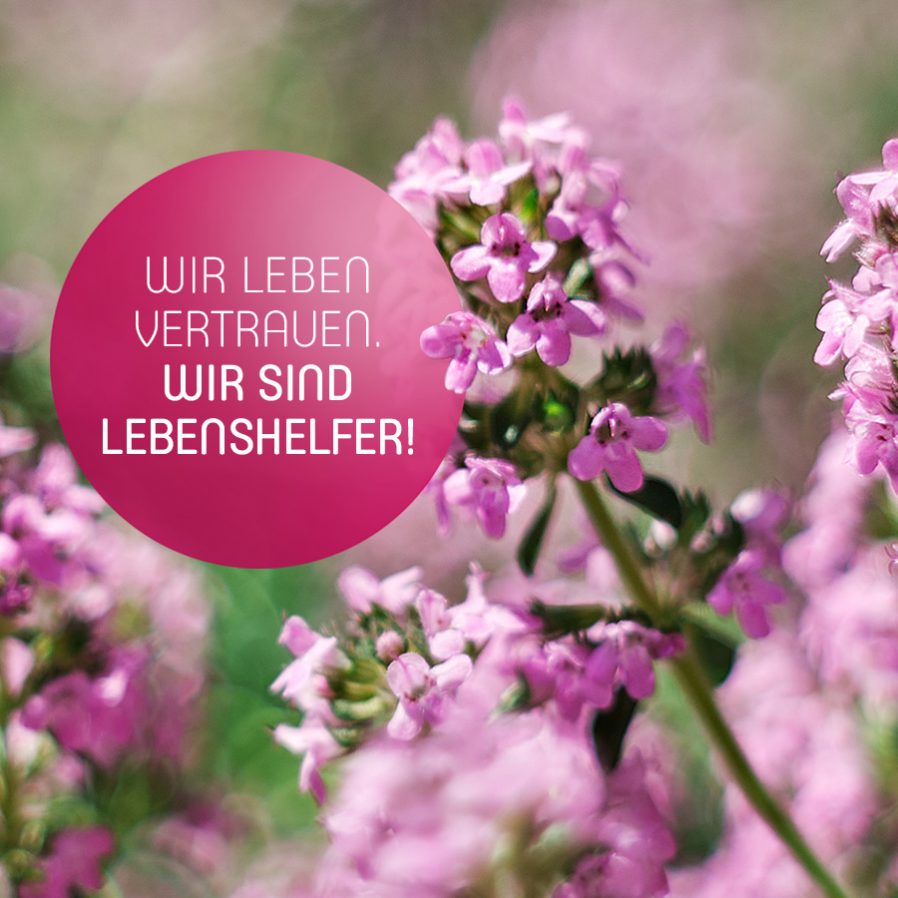 Wir leben Vertrauen. Wir sind Lebenshelfer!