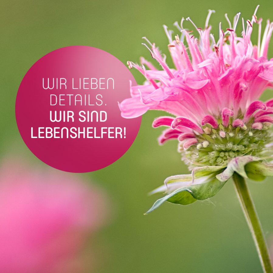 Wir lieben Details. Wir sind Lebenshelfer!