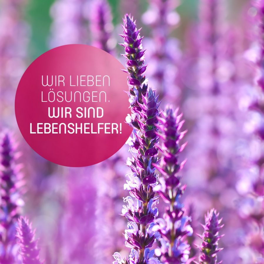 Wir lieben Lösungen. Wir sind Lebenshelfer!