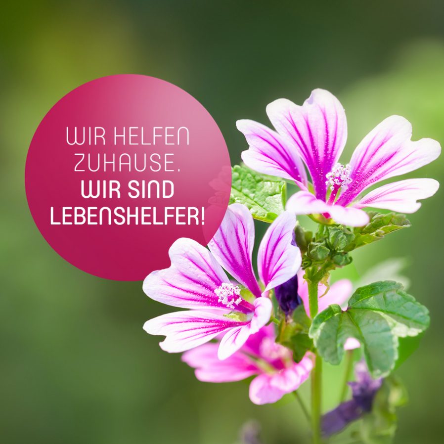 Wir helfen Zuhause. Wir sind Lebenshelfer!