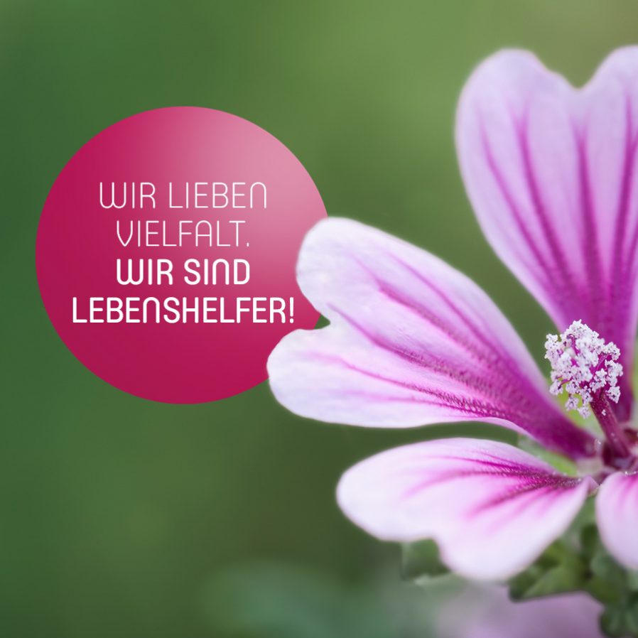 Wir lieben Vielfalt. Wir sind Lebenshelfer!