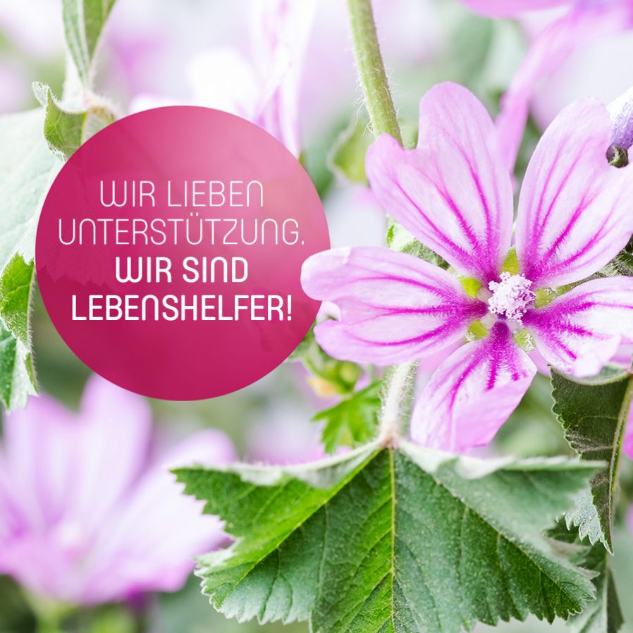 Wir lieben Unterstützung. Wir sind Lebenshelfer!