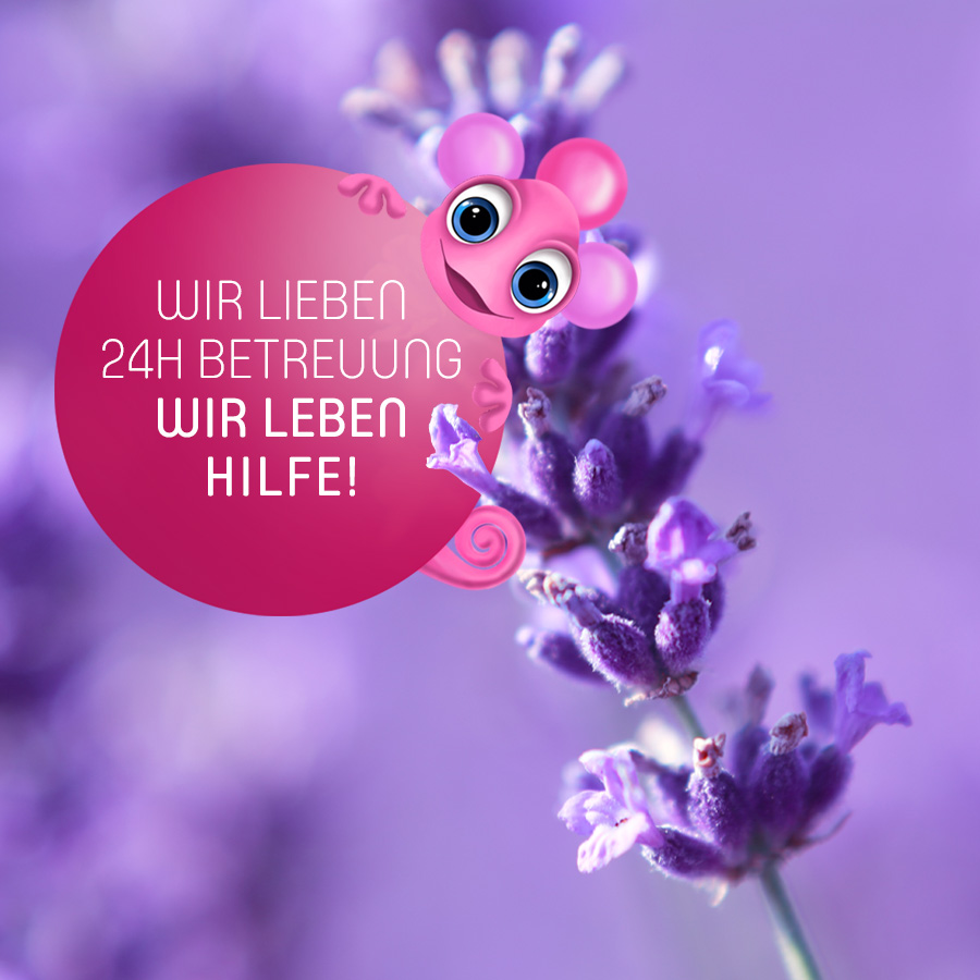 Wir lieben 24h Betreuung Wir leben Hilfe!