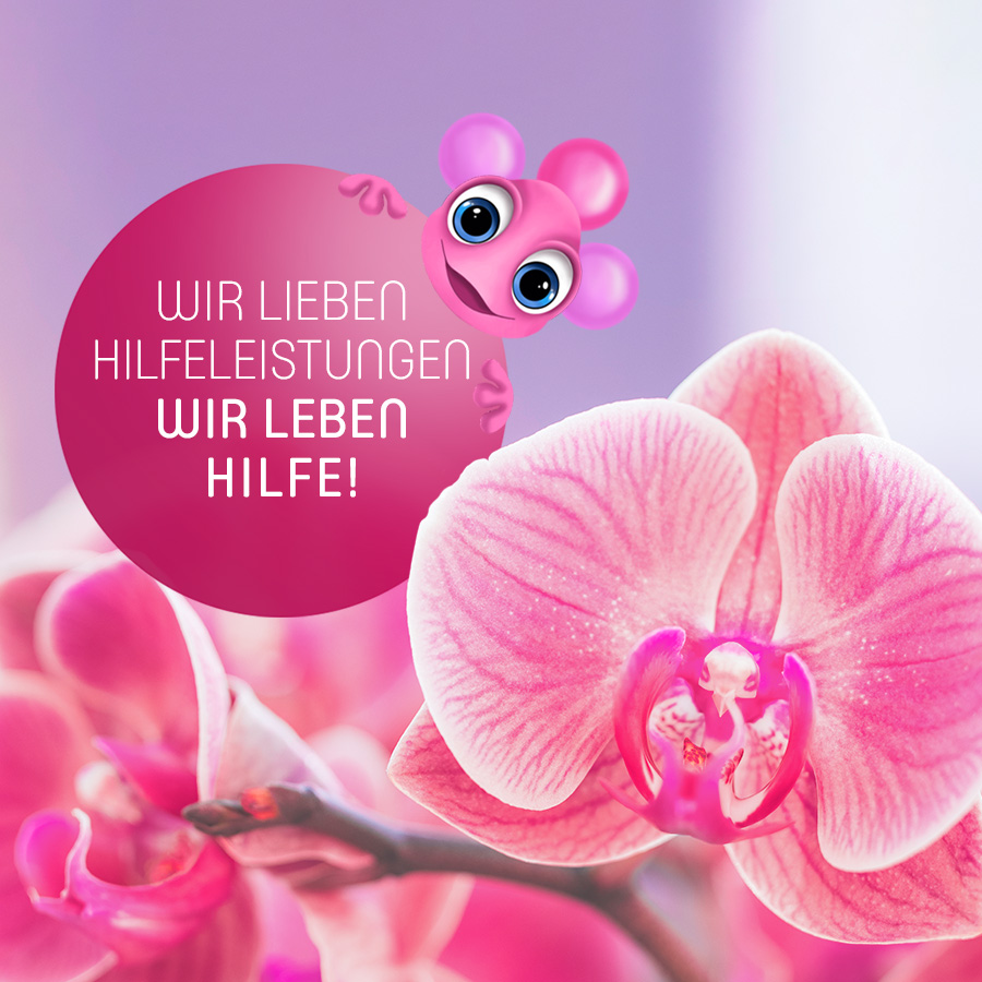 Wir lieben Hilfeleistungen Wir leben Hilfe!