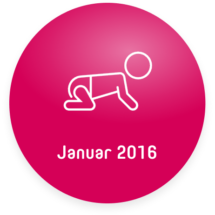 Meilenstein Bubble Januar 2016